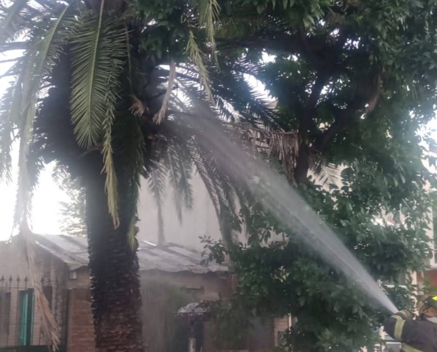 Tiraban pirotecnia, incendiaron una palmera y casi dejan sin luz a un barrio de Funes